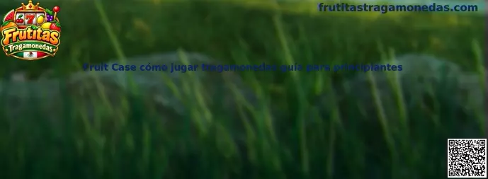 Fruit Case cómo jugar tragamonedas guía para principiantes