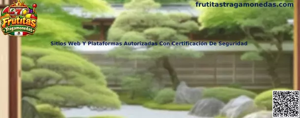 Sitios Web Y Plataformas Autorizadas Con Certificación De Seguridad