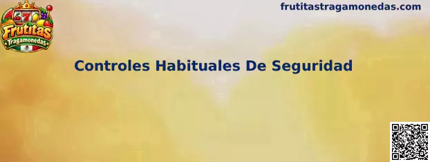 Controles Habituales De Seguridad