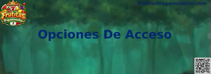 Pantalla ilustrativa sobre Opciones De Acceso de Frutitas Tragamonedas