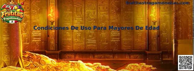 Condiciones De Uso Para Mayores De Edad